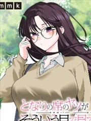 51号猫咪档案